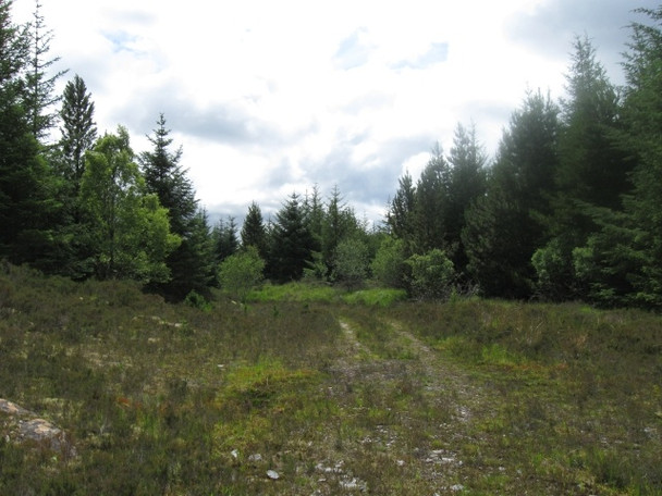 Photo 6"x4" From end of track back south-east Ardshealach c2008
