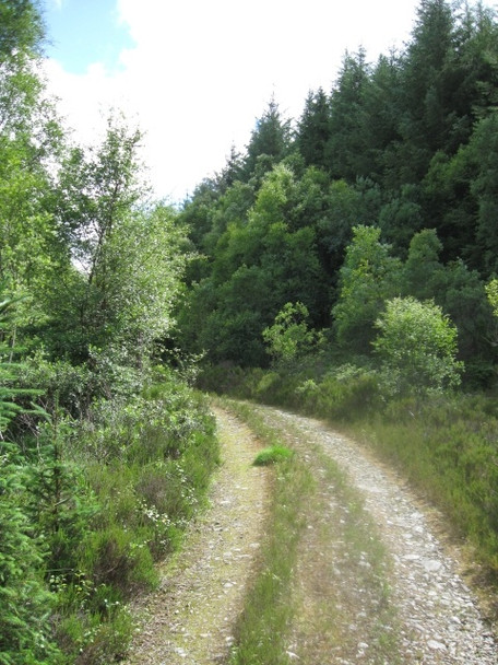 Photo 6"x4" Below Sr\u00c3\u00b2n na Gaoithe, forestry track Ardshealach c2008