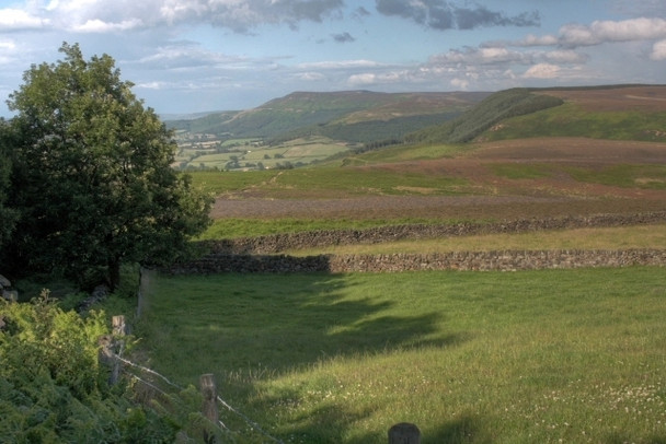 Photo 6"x4" Scarth Wood Moor Ingleby Cross c2008
