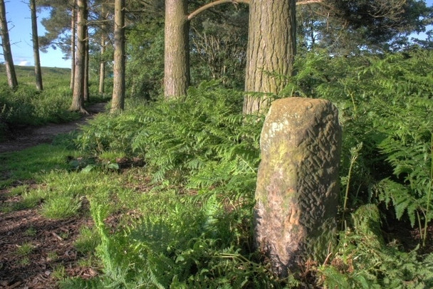 Photo 6"x4" Boundary Stone Ingleby Cross c2008
