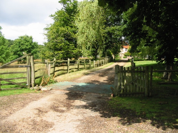 Photo 6"x4" Cattle grid on road to Tilden Farm Four Wents\/TQ7632 c2008