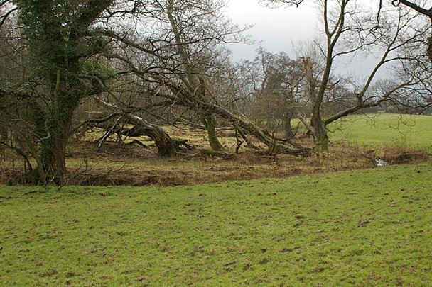 Photo 6"x4" Pig House Brook Great Mitton c2008