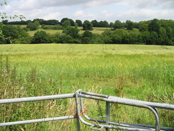 Photo 6"x4" View across the fields to Robin's Wood Tubslake c2008