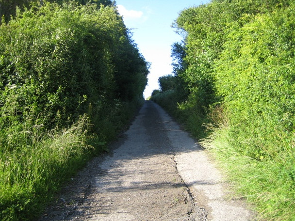 Photo 6"x4" Bridleway near Teffont Field Buildings 4 Teffont Magna c2007