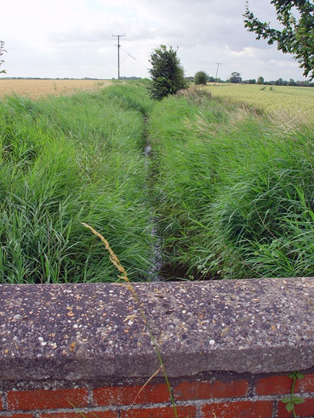 Photo 6"x4" Haylands Drain, Thorngumbald Thorngumbald c2008
