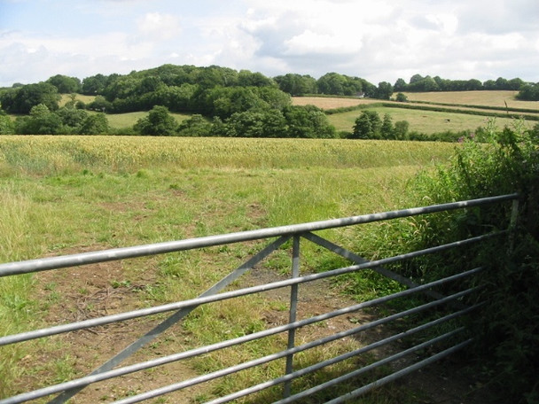Photo 6"x4" Farmland to the NE of Water Lane Woodsden\/TQ7731 c2008