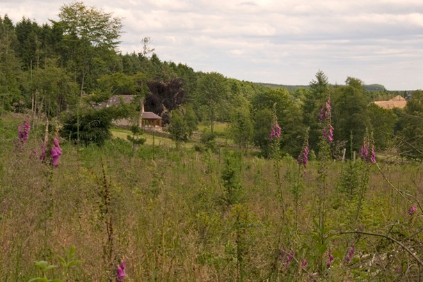 Photo 6"x4" House in newly planted woodland Banchory\/NO6995 c2008