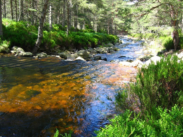 Photo 6"x4" Ford across the Water of Allachy Millfield\/NO4896 c2008