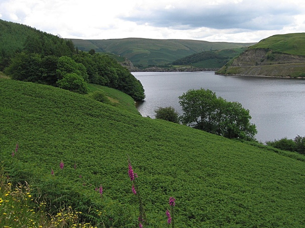 Photo 6"x4" Clearing by the side of Llyn Brianne Allt y Fedw c2008