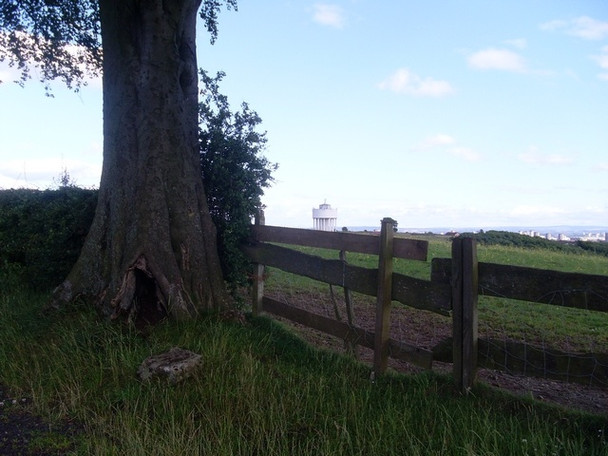 Photo 6"x4" Fence bordering field by Cleddans Road Bearsden c2008