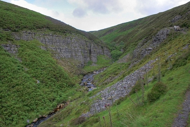 Photo 6"x4" Eweleap Scar Gunnerside Moor c2008