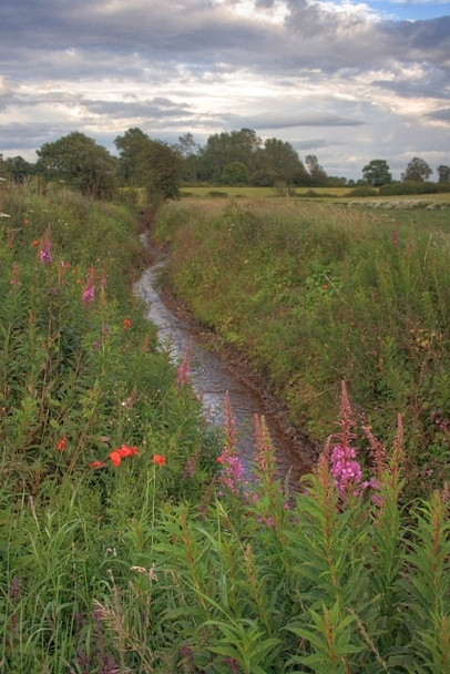 Photo 6"x4" Tributary of Browson Beck Dalton\/NZ1108 c2008