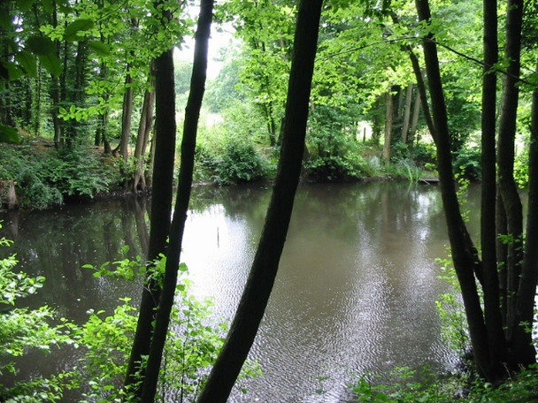 Photo 6"x4" Pond on Hope House Lane, near Border View Dingleden c2008