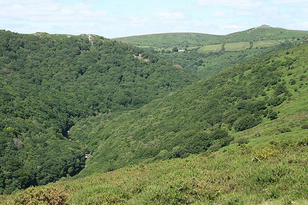 Photo 6"x4" Widecombe in the Moor: above Sharrah Pool, Dart valley West Stoke\/SX6971 c2008