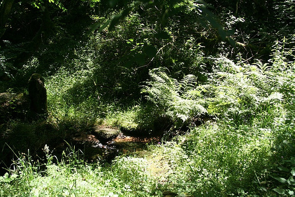 Photo 6"x4" Dartmoor Forest: a Dart tributary Dartmeet c2008