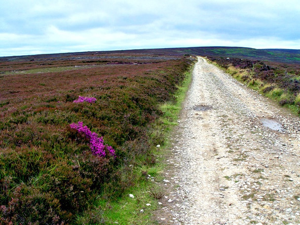 Photo 6"x4" The track to Rudland Rigg Church Houses c2008