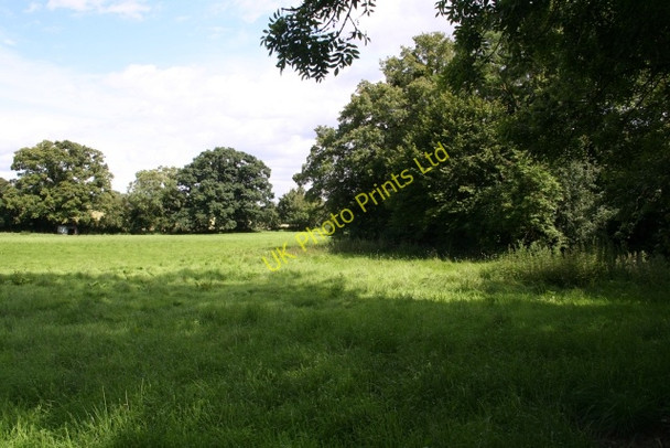 Photo 6"x4" Stream-Side Meadow, Castlemorton Birts Street c2007