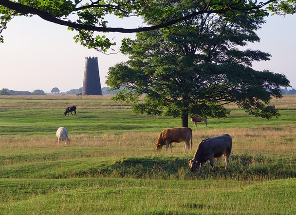 Photo 6"x4" Blackmill, Beverley Westwood Beverley c2008