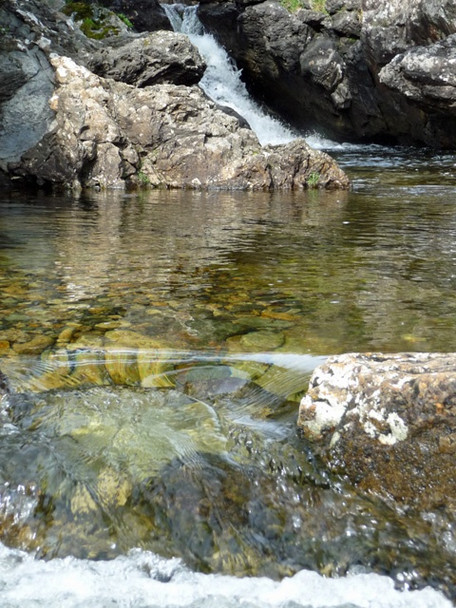 Photo 6"x4" Pool on the Allt  Aisridh Torrin\/Na Torrin c2008