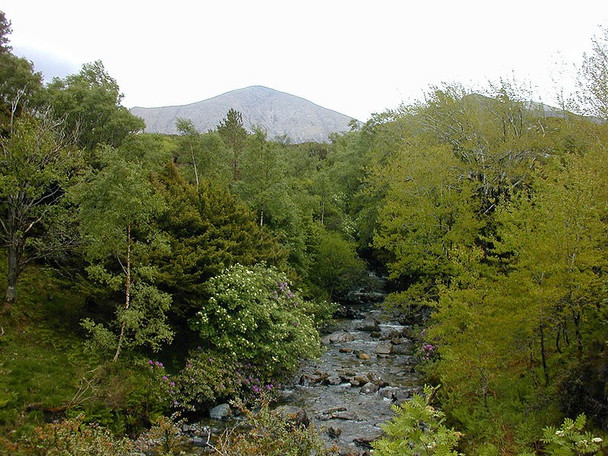 Photo 6"x4" The Allt Daraich Sconser c2000
