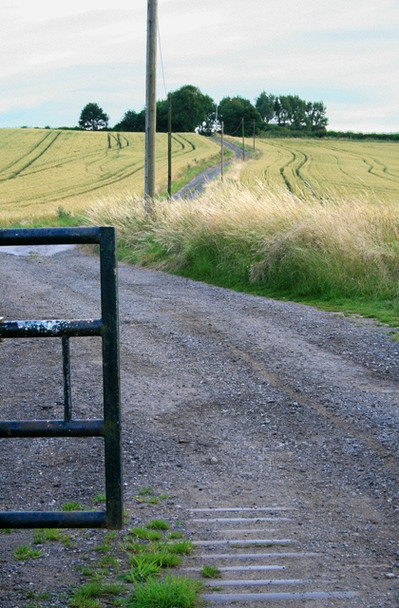 Photo 6"x4" Entrance to High Lodge Farm Dale Moor c2008