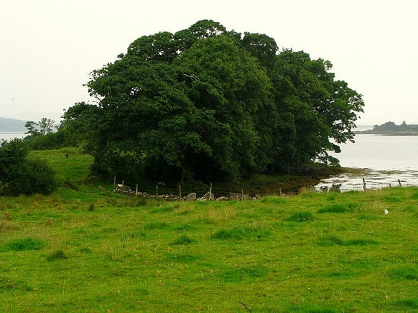 Photo 6"x4" Field and trees near Doe Castle Creeslough c2008