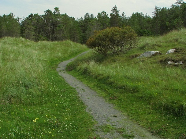 Photo 6"x4" Path near Clonmass Bay Downies\/C1038 c2008