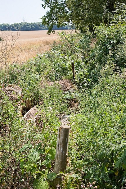 Photo 6"x4" Impassable footpath east of Hill View Hambledon\/SU6414 c2008