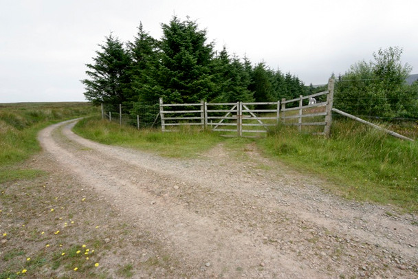 Photo 6"x4" Track junction above Shurrery Lodge Broubster c2008