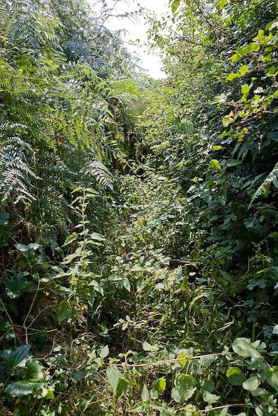 Photo 6"x4" Menslands Lane becomes impassable Hoe Gate c2008