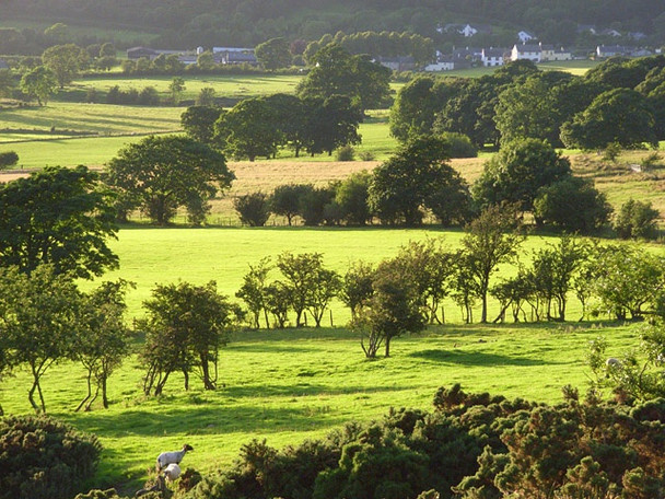 Photo 6"x4" Pastures, Bassenthwaite Bassenthwaite c2008