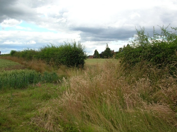 Photo 6"x4" Towards Glebe Farm Skelton\/SE5756 c2008
