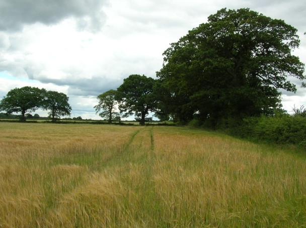 Photo 6"x4" From the bridleway next to Moor Lane Skelton\/SE5756 c2008