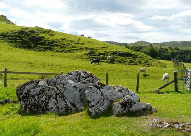 Photo 6"x4" By Elphin Tearoom Elphin\/NC2111 c2008