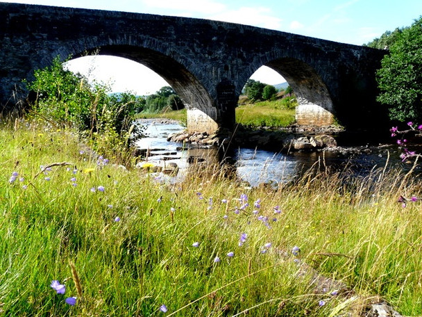 Photo 6"x4" Rosehall Bridge Rosehall\/NC4602 c2008