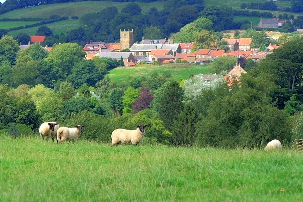Photo 6"x4" Osmotherley Village Osmotherley c2008