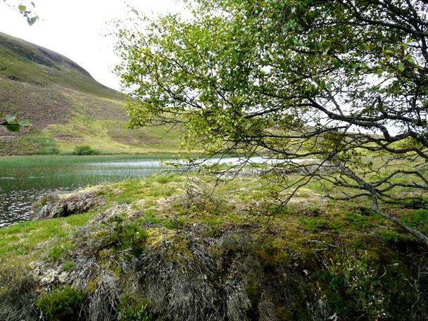 Photo 6"x4" Loch Tarvie Little Torboll c2008