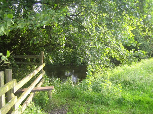 Photo 6"x4" Stream near Duck Street Farm Tisbury c2007