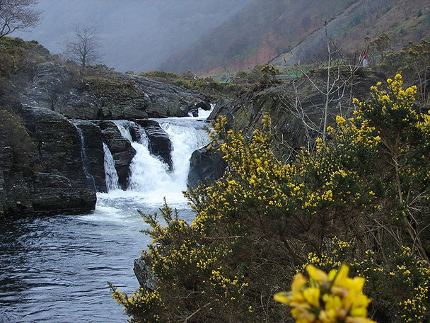 Photo 6"x4" Rheidol Falls Aberffrwd\/SN6878 c2008