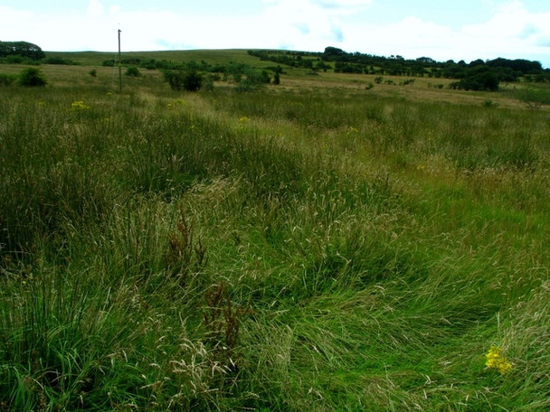 Photo 6"x4" Towards Standing Stones Hill Dundrod c2008