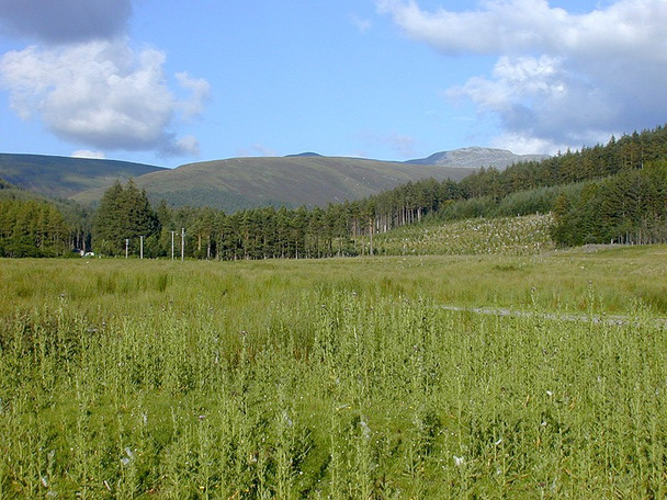Photo 6"x4" Field at Inverlael Clachan\/NH1784 c2002