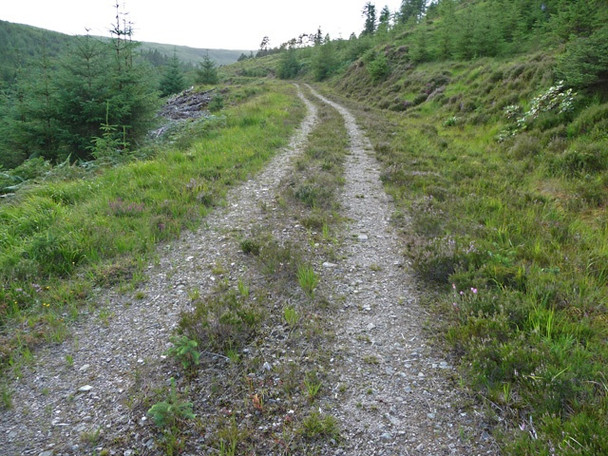 Photo 6"x4" Forest road above the Allt Dearg Craig\/NH0349 c2008