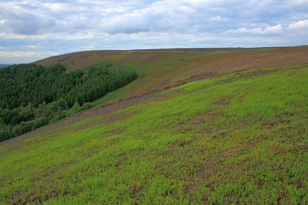 Photo 6"x4" On Pie Shaw Corner Over Silton c2008