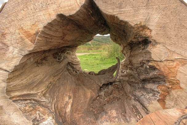 Photo 6"x4" Tree Trunk used as a Bollard, Square Corner Osmotherley c2008