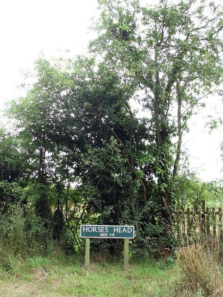 Photo 6"x4" Horses Head Upton\/TG3912 c2008