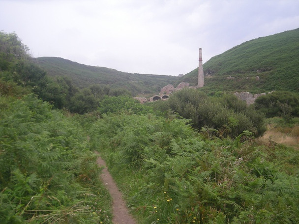 Photo 6"x4" South West Coastal Footpath near Boscean Boscean c2008