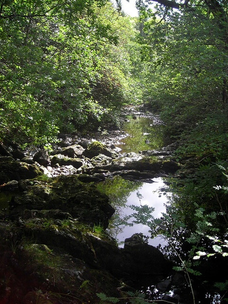 Photo 6"x4" Abhainn Teithil Sutherlands Grove c2008