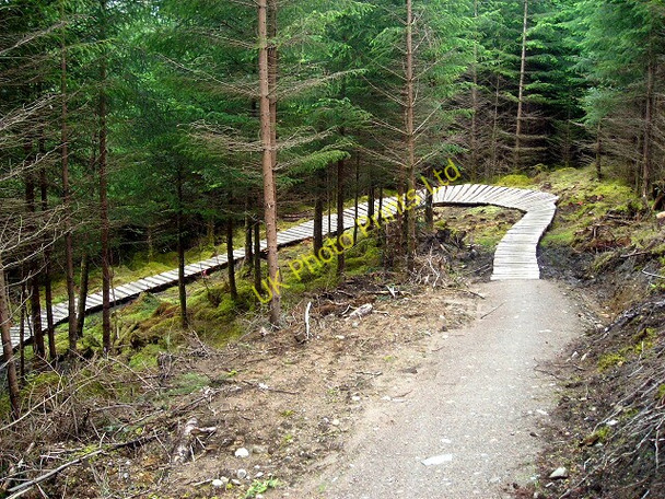 Photo 6"x4" Cycle Trail in Leanachan Forest Torlundy c2007 P1