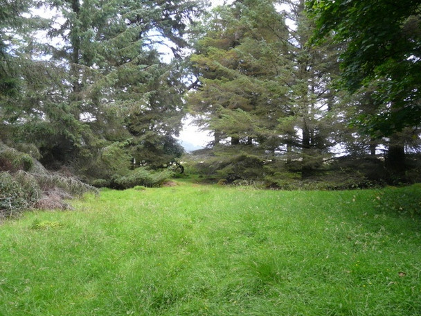 Photo 6"x4" In Balblair Wood (3) Kirkton\/NH7998 c2008