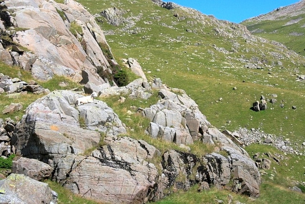 Photo 6"x4" On Cockly Pike Broad Crag c2008